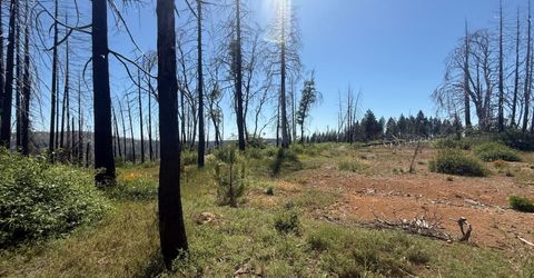 7350 S View Dr, Grizzly Flats, CA 95636 Photo