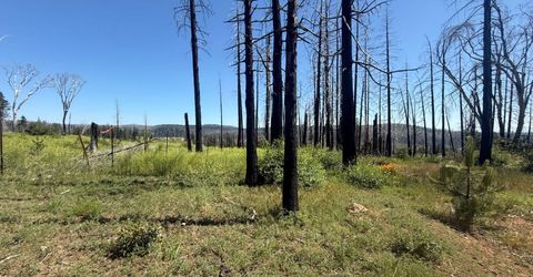 7350 S View Dr, Grizzly Flats, CA 95636 Photo