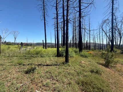 7350 S View Dr, Grizzly Flats, CA 95636 Photo