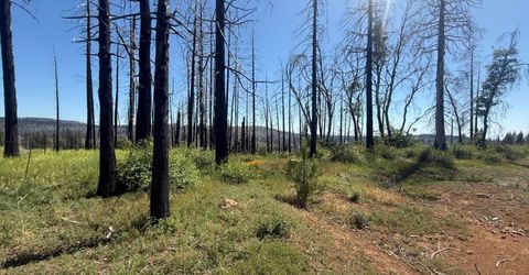 7350 S View Dr, Grizzly Flats, CA 95636 Photo