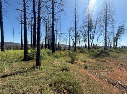 7350 S View Dr, Grizzly Flats, CA 95636 Photo