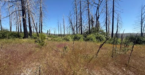 7350 S View Dr, Grizzly Flats, CA 95636 Photo