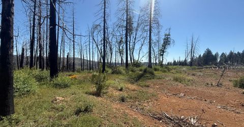 7350 S View Dr, Grizzly Flats, CA 95636 Photo
