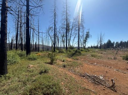 7350 S View Dr, Grizzly Flats, CA 95636 Photo