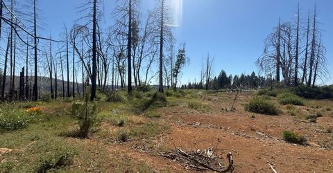 7350 S View Dr, Grizzly Flats, CA 95636 Photo