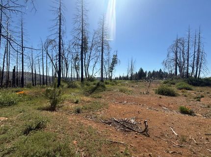 7350 S View Dr, Grizzly Flats, CA 95636 Photo
