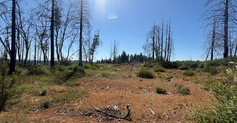 7350 S View Dr, Grizzly Flats, CA 95636 Photo