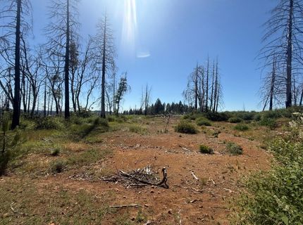 7350 S View Dr, Grizzly Flats, CA 95636 Photo