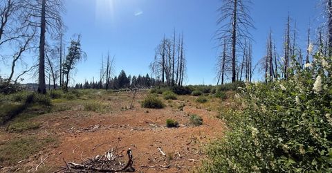 7350 S View Dr, Grizzly Flats, CA 95636 Photo