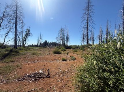 7350 S View Dr, Grizzly Flats, CA 95636 Photo