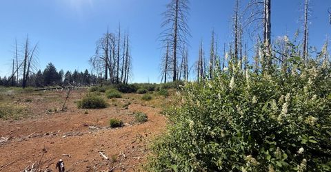 7350 S View Dr, Grizzly Flats, CA 95636 Photo