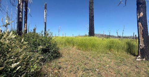 7350 S View Dr, Grizzly Flats, CA 95636 Photo