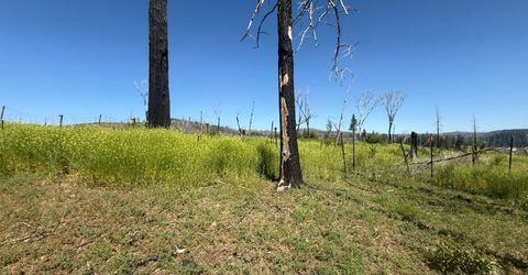 7350 S View Dr, Grizzly Flats, CA 95636 Photo