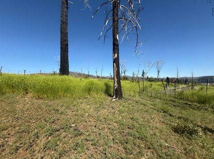 7350 S View Dr, Grizzly Flats, CA 95636 Photo