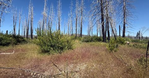 7350 S View Dr, Grizzly Flats, CA 95636 Photo