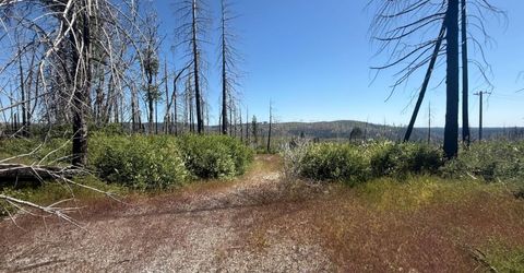 7350 S View Dr, Grizzly Flats, CA 95636 Photo
