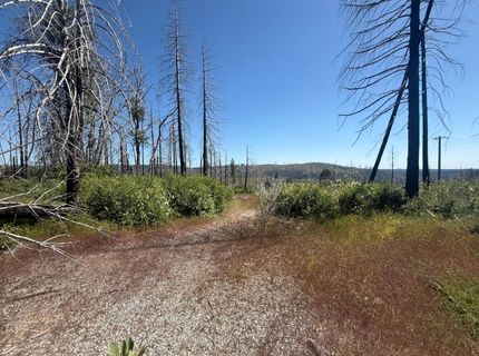 7350 S View Dr, Grizzly Flats, CA 95636 Photo