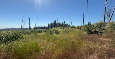 7350 S View Dr, Grizzly Flats, CA 95636 Photo