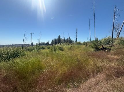 7350 S View Dr, Grizzly Flats, CA 95636 Photo