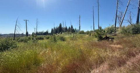 7350 S View Dr, Grizzly Flats, CA 95636 Photo