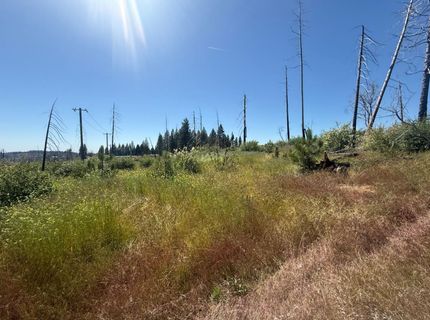 7350 S View Dr, Grizzly Flats, CA 95636 Photo