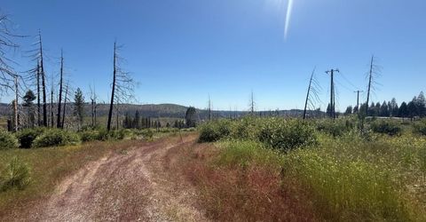 7350 S View Dr, Grizzly Flats, CA 95636 Photo