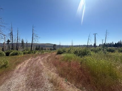 7350 S View Dr, Grizzly Flats, CA 95636 Photo