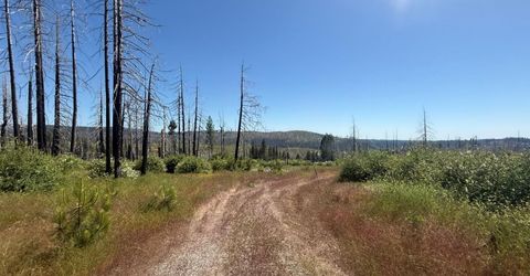 7350 S View Dr, Grizzly Flats, CA 95636 Photo
