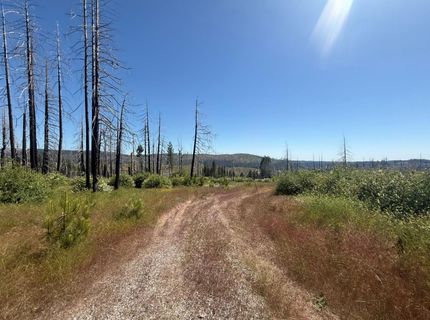 7350 S View Dr, Grizzly Flats, CA 95636 Photo