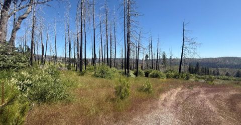 7350 S View Dr, Grizzly Flats, CA 95636 Photo
