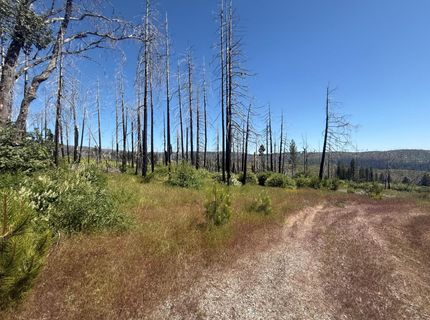 7350 S View Dr, Grizzly Flats, CA 95636 Photo
