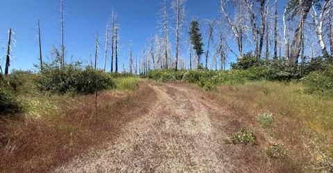 7350 S View Dr, Grizzly Flats, CA 95636 Photo