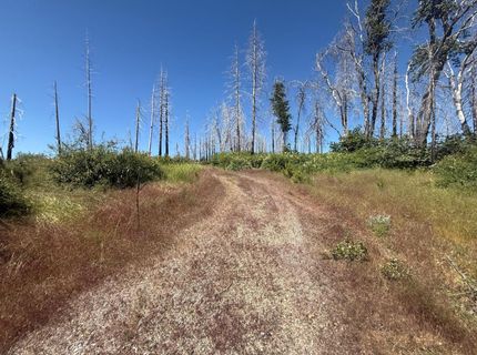 7350 S View Dr, Grizzly Flats, CA 95636 Photo