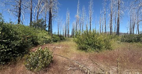 7350 S View Dr, Grizzly Flats, CA 95636 Photo