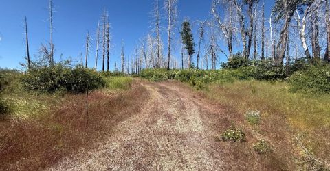 7350 S View Dr, Grizzly Flats, CA 95636 Photo