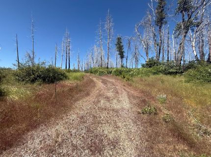 7350 S View Dr, Grizzly Flats, CA 95636 Photo