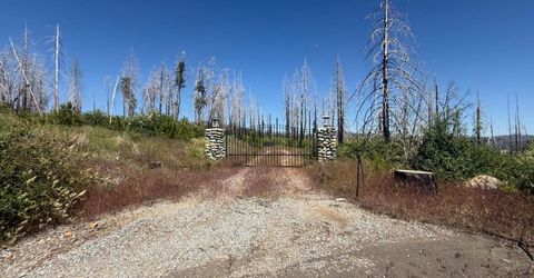 7350 S View Dr, Grizzly Flats, CA 95636 Photo