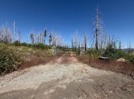 7350 S View Dr, Grizzly Flats, CA 95636 Photo