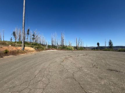 7350 S View Dr, Grizzly Flats, CA 95636 Photo