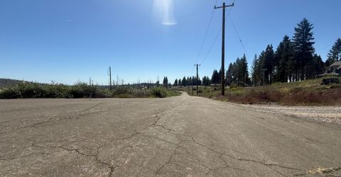 7350 S View Dr, Grizzly Flats, CA 95636 Photo