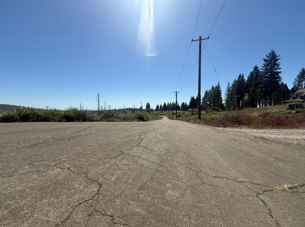 7350 S View Dr, Grizzly Flats, CA 95636 Photo