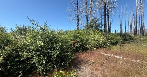 7350 S View Dr, Grizzly Flats, CA 95636 Photo