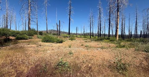 7350 S View Dr, Grizzly Flats, CA 95636 Photo