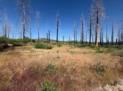 7350 S View Dr, Grizzly Flats, CA 95636 Photo