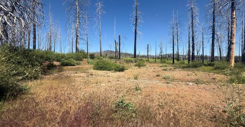 7350 S View Dr, Grizzly Flats, CA 95636 Photo