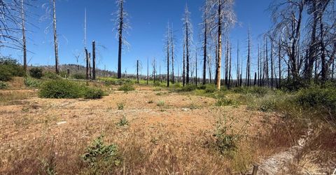 7350 S View Dr, Grizzly Flats, CA 95636 Photo