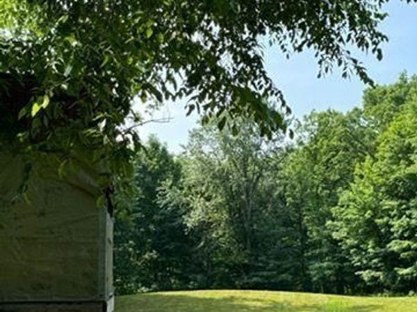 0000 Vik-Mar Lane , Attica Twp, MI 48412