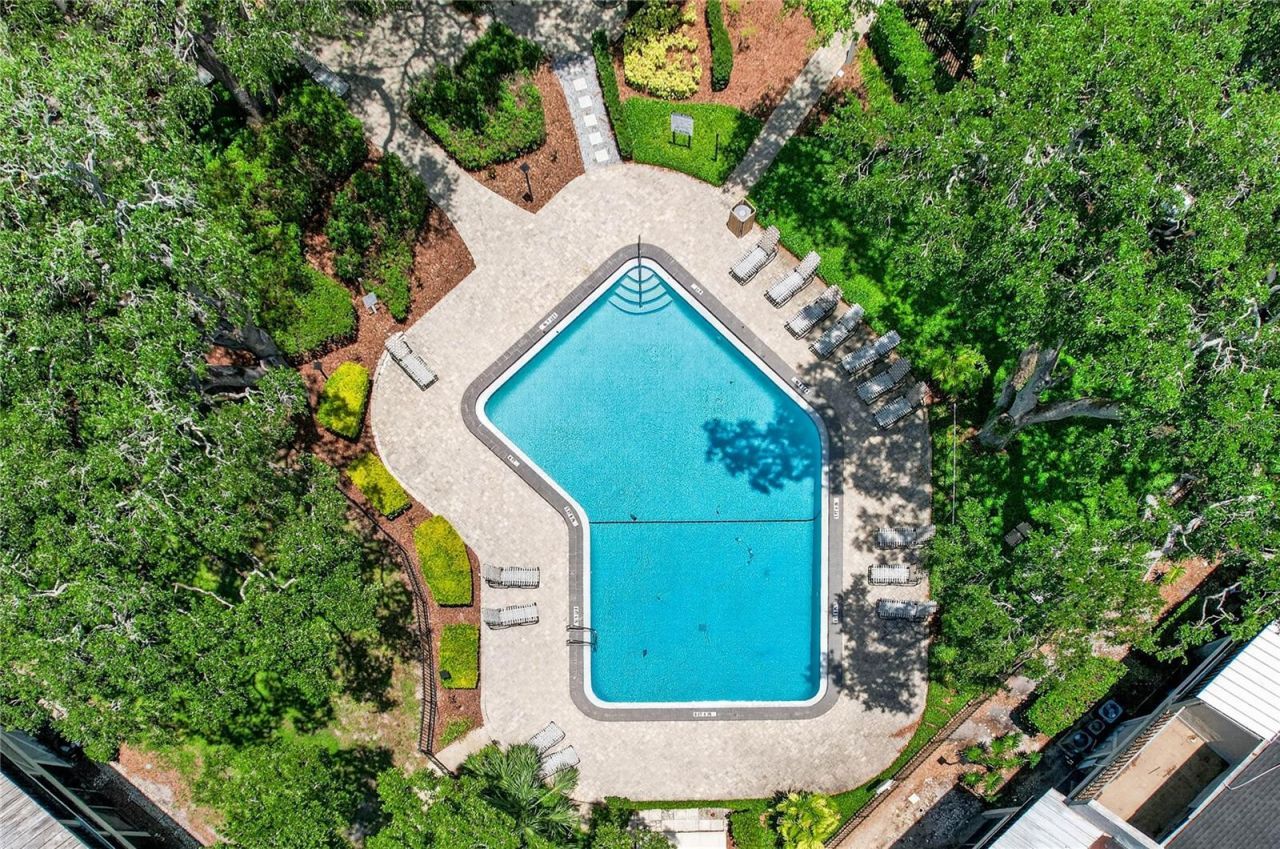 14452 Reuter Strasse, Unit 710, Tampa, FL 33613 Photo