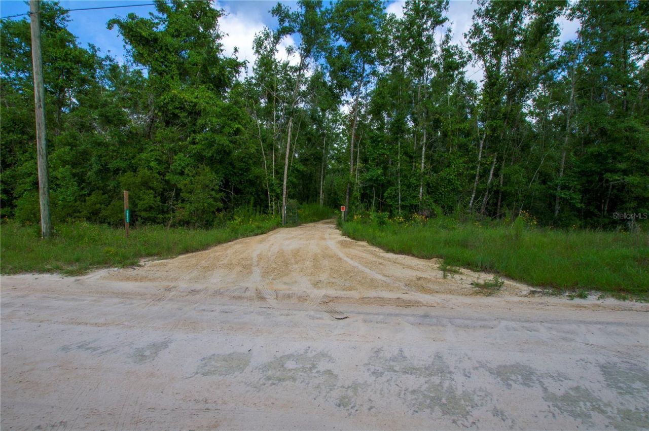 18233 185th Rd, Live Oak, FL 32060 Photo