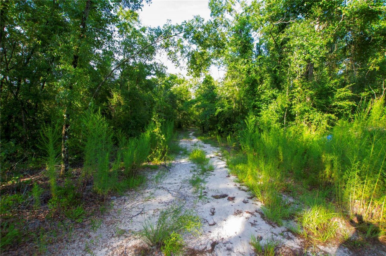 18233 185th Rd, Live Oak, FL 32060 Photo